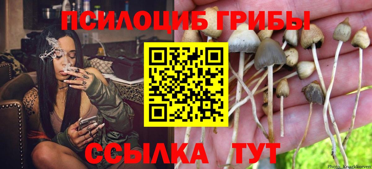Ревда  Галлюциногенные грибы MAGIC MUSHROOMS  Вход с VPN  Псилоцибиновые грибы Magic Shrooms 